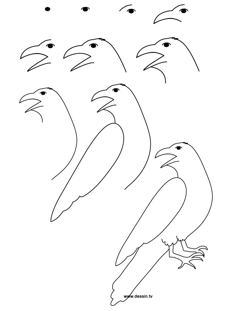 dessin corbeau