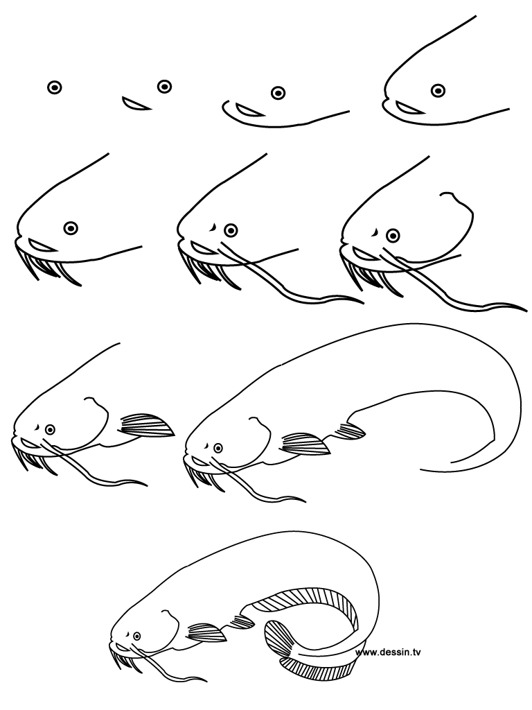 dessin poisson-chat