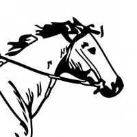 Coloriage cheval avec cavalier