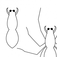 Dessin araignée